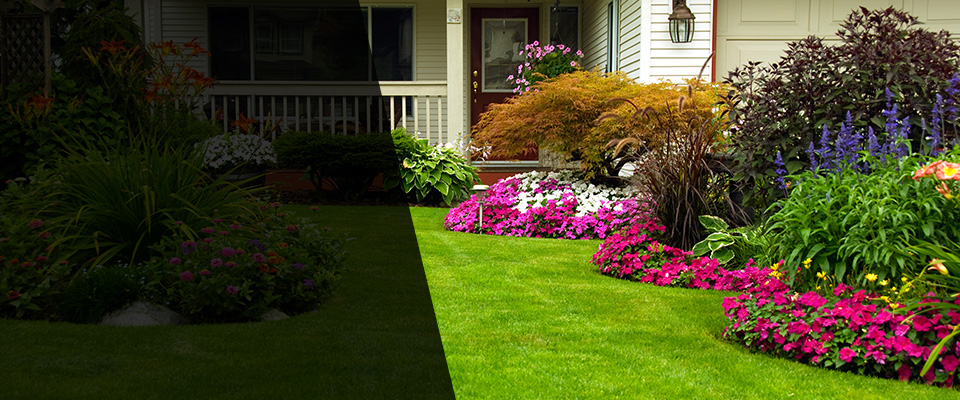 Hiddenite Landscapers