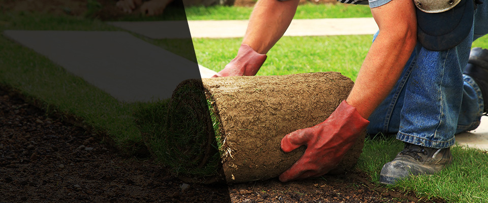 Hiddenite Landscapers
